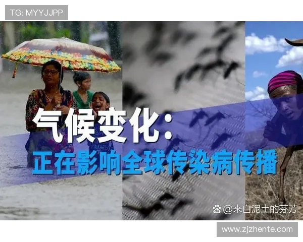 乌栖沙岩与清水的对决探讨自然景观与生态保护的平衡之道